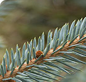 Placeholder image (6)
