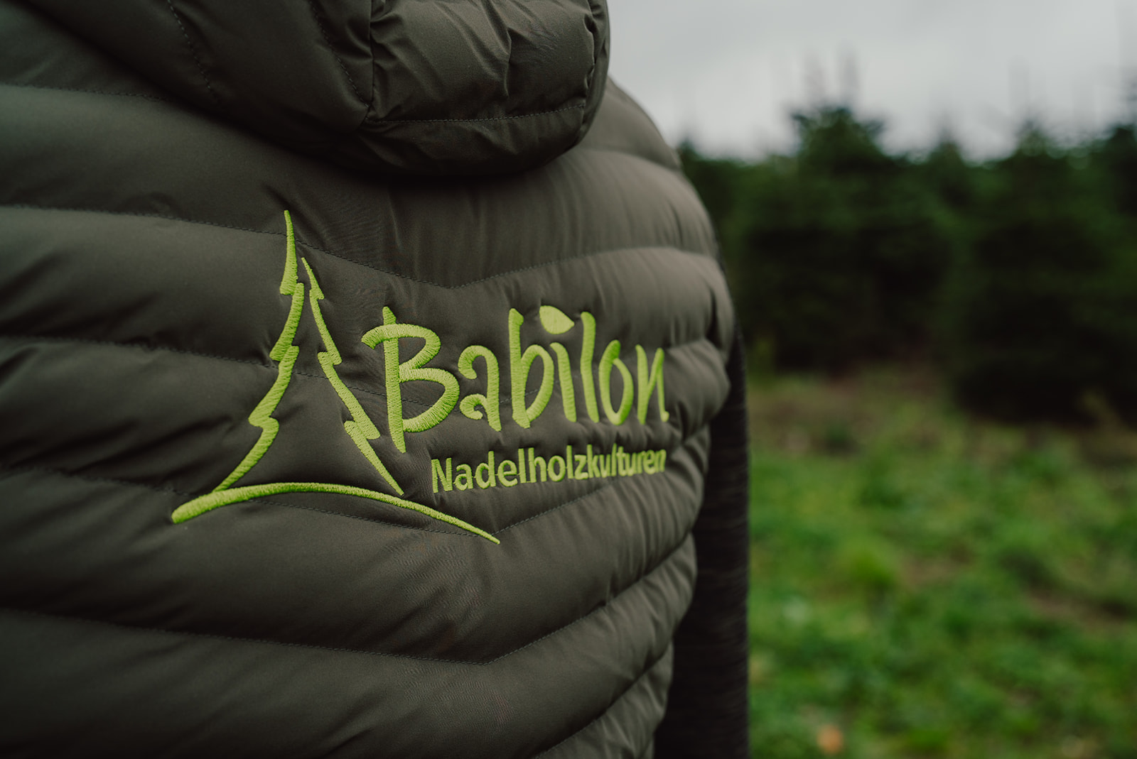 Mitarbeiter Babilon Tannenbäume